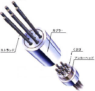 接続具