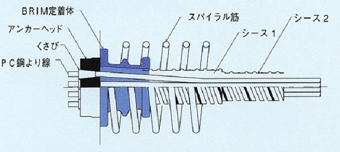 BRIM定着体（標準タイプ）